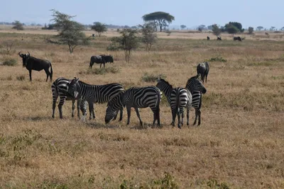 DSC_3406 (Large).JPG